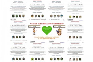 'IDENTIFICATION' Research Worksheets